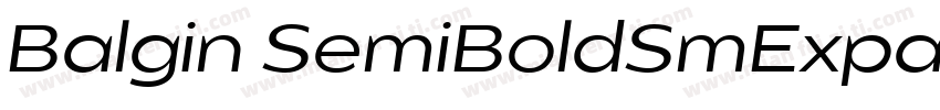 Balgin SemiBoldSmExpanded Regular字体转换